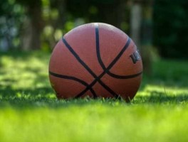 奥斯曼nba，法国nba球员有哪些