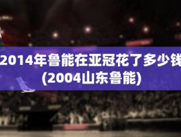 2014年鲁能在亚冠花了多少钱(2004山东鲁能)