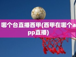 哪个台直播西甲(西甲在哪个app直播)