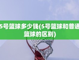 5号篮球多少钱(5号篮球和普通篮球的区别)