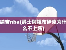 纳吉nba(爵士阿祖布伊克为什么不上场)