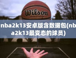 nba2k13安卓版含数据包(nba2k13最变态的球员)