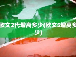 欧文2代增高多少(欧文5增高多少)