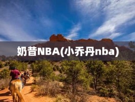 奶昔NBA(小乔丹nba)