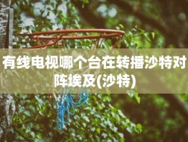 有线电视哪个台在转播沙特对阵埃及(沙特)