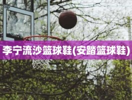 李宁流沙篮球鞋(安踏篮球鞋)