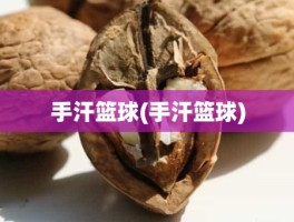 手汗篮球(手汗篮球)