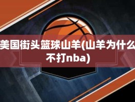 美国街头篮球山羊(山羊为什么不打nba)