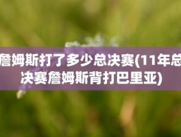 詹姆斯打了多少总决赛(11年总决赛詹姆斯背打巴里亚)