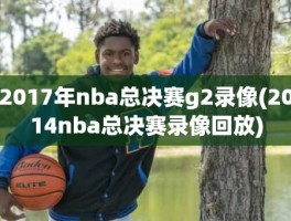 2017年nba总决赛g2录像(2014nba总决赛录像回放)