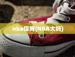 nba保姆(NBA大妈)