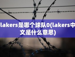 lakers是哪个球队0(lakers中文是什么意思)