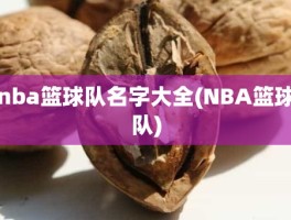 nba篮球队名字大全(NBA篮球队)