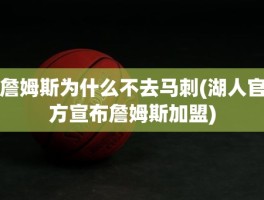 詹姆斯为什么不去马刺(湖人官方宣布詹姆斯加盟)