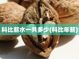 科比薪水一共多少(科比年薪)