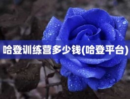 哈登训练营多少钱(哈登平台)
