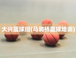 大兴篮球班(马驹桥篮球培训)