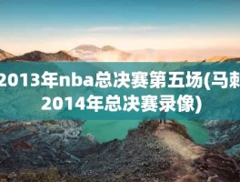 2013年nba总决赛第五场(马刺2014年总决赛录像)