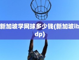 新加坡学网球多少钱(新加坡ibdp)