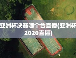 亚洲杯决赛哪个台直播(亚洲杯2020直播)