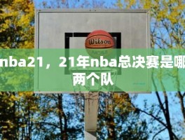 nba21，21年nba总决赛是哪两个队