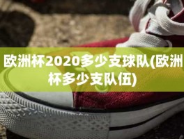 欧洲杯2020多少支球队(欧洲杯多少支队伍)