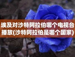 埃及对沙特阿拉伯哪个电视台播放(沙特阿拉伯是哪个国家)