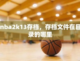 nba2k13存档，存档文件在目录的哪里