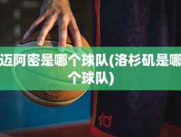 迈阿密是哪个球队(洛杉矶是哪个球队)