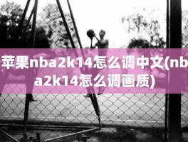 苹果nba2k14怎么调中文(nba2k14怎么调画质)