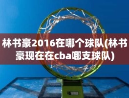 林书豪2016在哪个球队(林书豪现在在cba哪支球队)