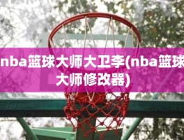 nba篮球大师大卫李(nba篮球大师修改器)