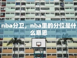 nba分卫，nba里的分位是什么意思