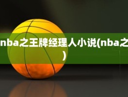 nba之王牌经理人小说(nba之)