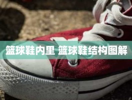 篮球鞋内里 篮球鞋结构图解