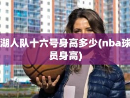 湖人队十六号身高多少(nba球员身高)