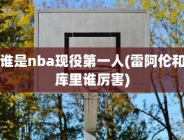 谁是nba现役第一人(雷阿伦和库里谁厉害)