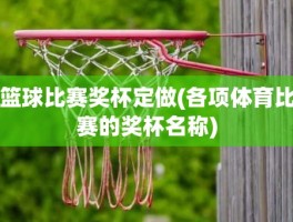 篮球比赛奖杯定做(各项体育比赛的奖杯名称)