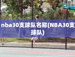 nba30支球队名称(NBA30支球队)