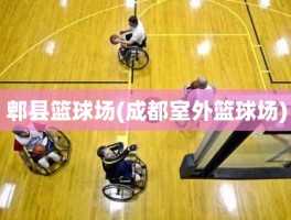 郫县篮球场(成都室外篮球场)