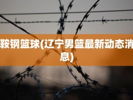 鞍钢篮球(辽宁男篮最新动态消息)