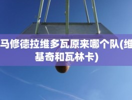 马修德拉维多瓦原来哪个队(维基奇和瓦林卡)