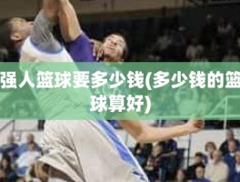 强人篮球要多少钱(多少钱的篮球算好)