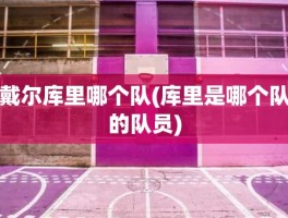 戴尔库里哪个队(库里是哪个队的队员)