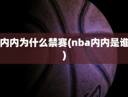 内内为什么禁赛(nba内内是谁)