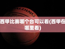 西甲比赛哪个台可以看(西甲在哪里看)