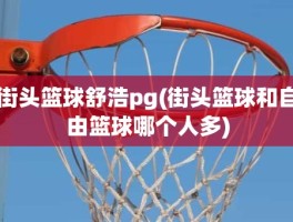 街头篮球舒浩pg(街头篮球和自由篮球哪个人多)