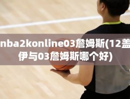 nba2konline03詹姆斯(12盖伊与03詹姆斯哪个好)