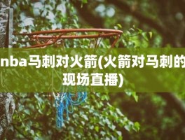 nba马刺对火箭(火箭对马刺的现场直播)