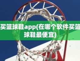 买篮球鞋app(在哪个软件买篮球鞋最便宜)